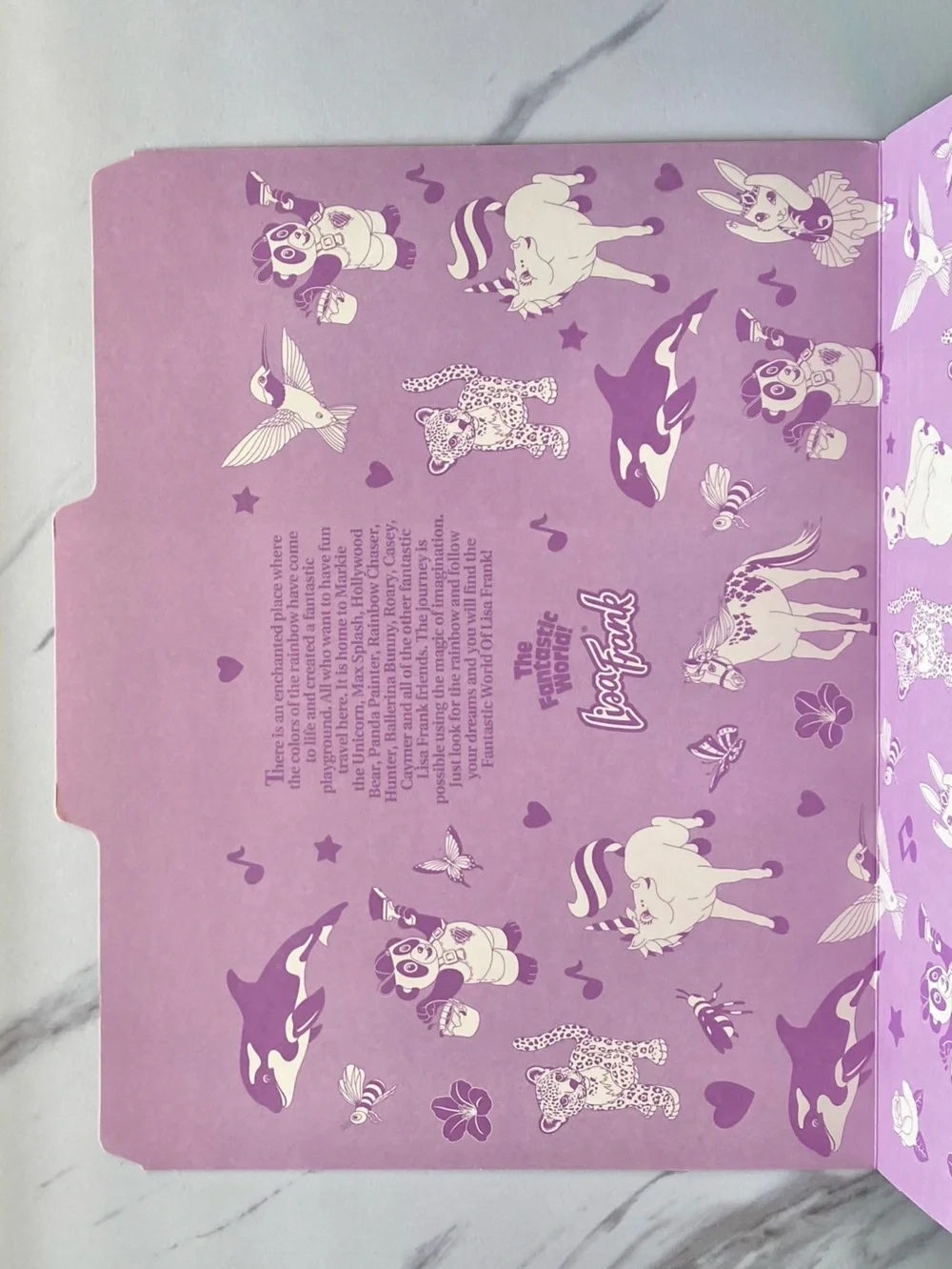 VTG Lisa Frank Kitten Bubbles file folder